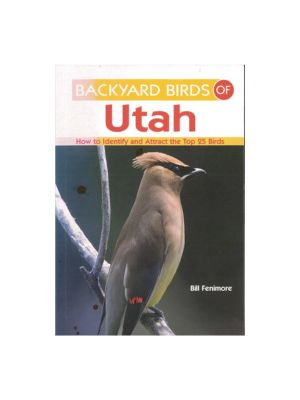 Backyard Birds of Utah