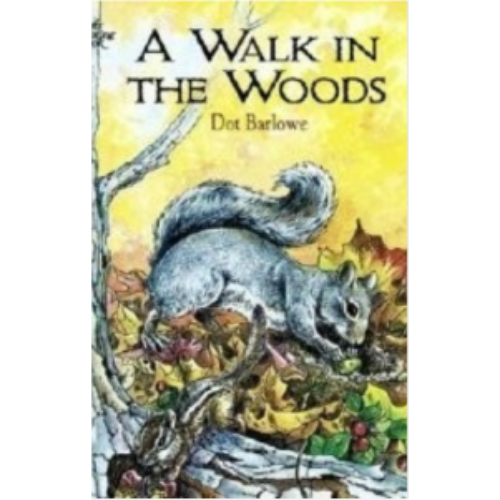 Walk in the Woods, A (Coloring Book)