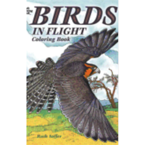 Birds in Flight (Coloring Book) Birds in Flight (Coloring Book)