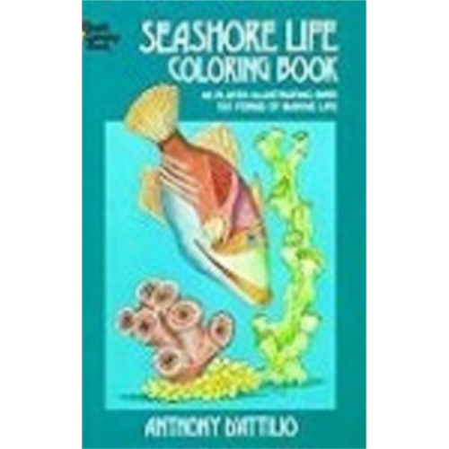 Coloring Book - Seashore Life