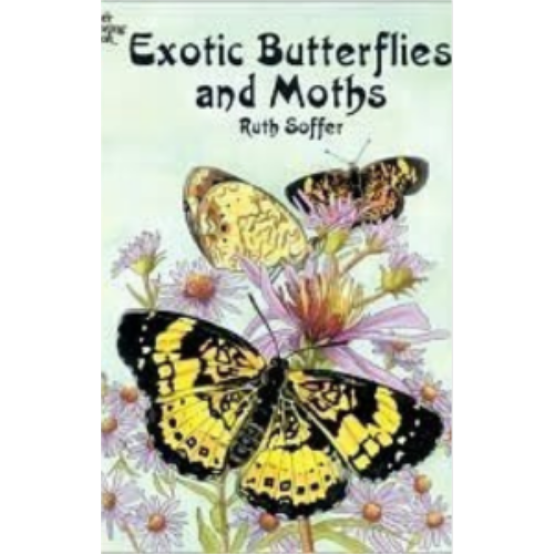 Exotic Butterflies and Moths (Coloring Book) Exotic Butterflies and Moths (Coloring Book)