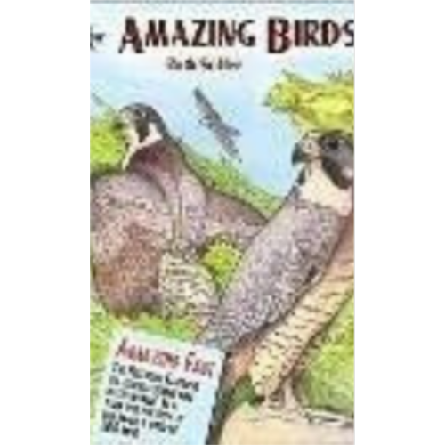 Amazing Birds (Coloring Book)