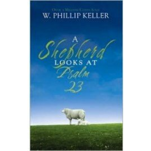 Shepherd Looks at Psalm 23, A