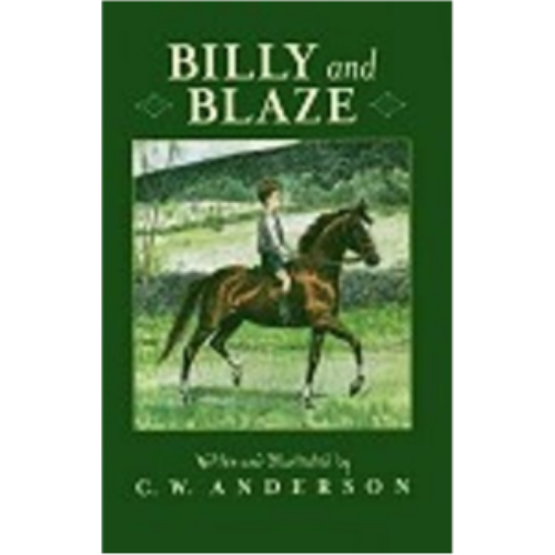 Billy and Blaze: A Boy and His Pony
