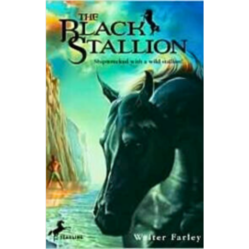 Black Stallion