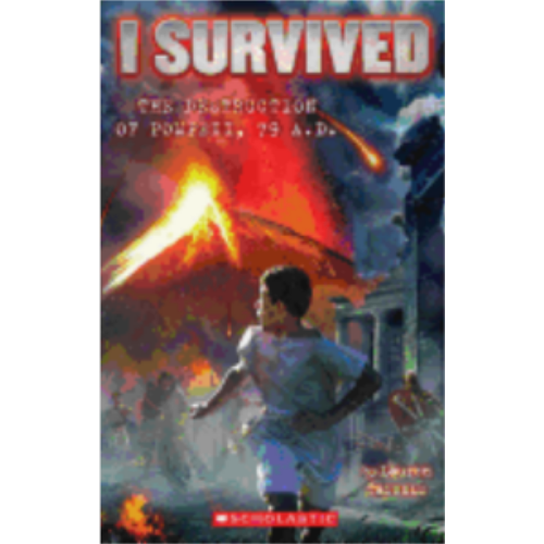 I Survived the Destruction of Pompeii, AD 79 (I Survived #10) I Survived the Destruction of Pompeii, AD 79 (I Survived #10)
