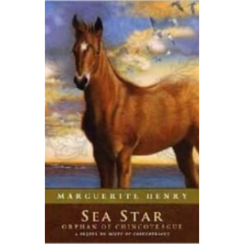 Sea Star Sea Star