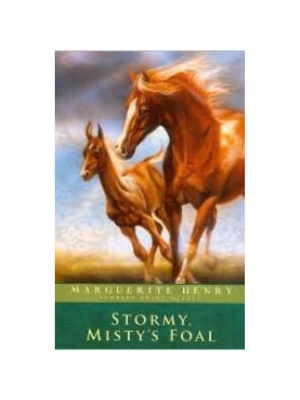 Stormy, Misty's Foal Stormy, Misty's Foal