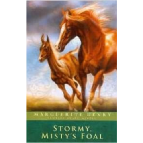 Stormy, Misty's Foal Stormy, Misty's Foal