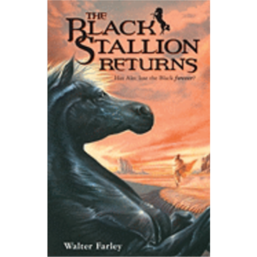 Black Stallion Returns, The (Black Stallion #2)