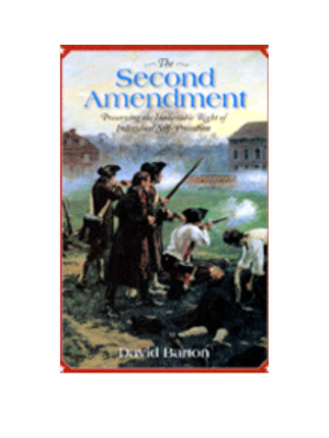Second Amendment, The (Preserving Self Protection)
