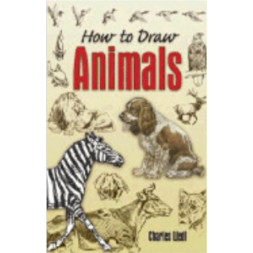How to Draw Animals