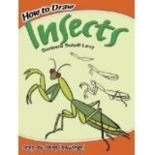 How to Draw Insects