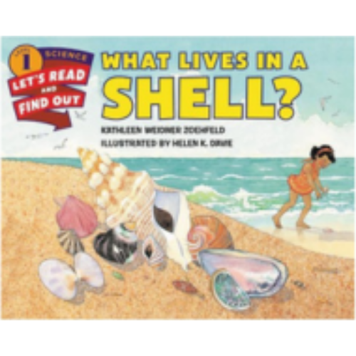 What Lives in a Shell? What Lives in a Shell?