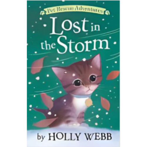 Lost in the Storm Lost in the Storm