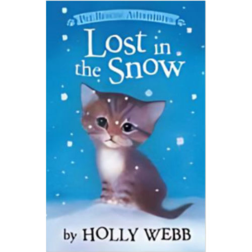 Lost in the Snow