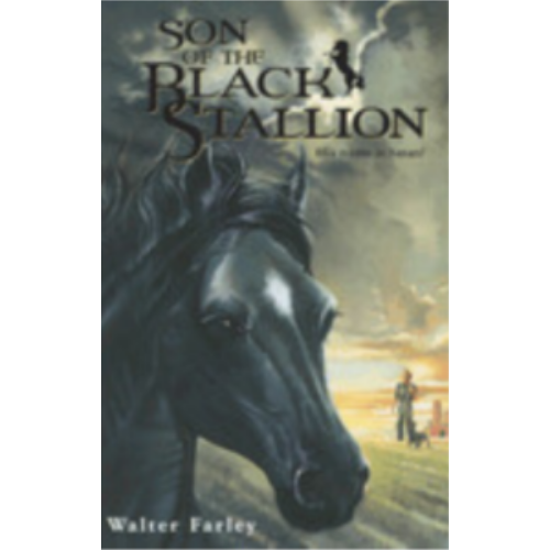 Black Stallion #3: Son of the Black Stallion