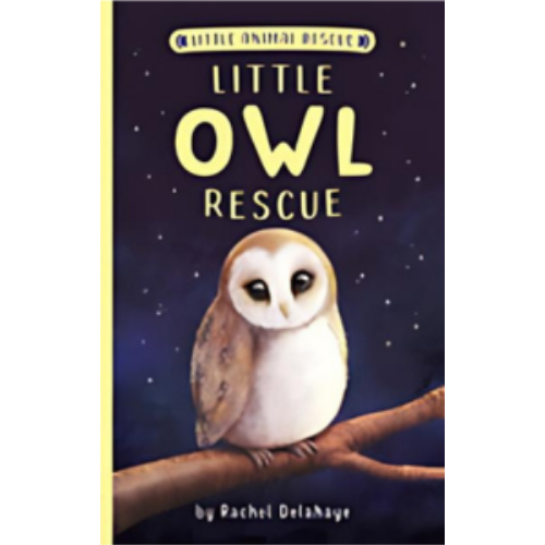 Little Owl Rescue Little Owl Rescue