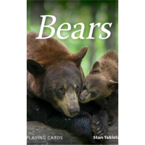 Bears Playing Cards