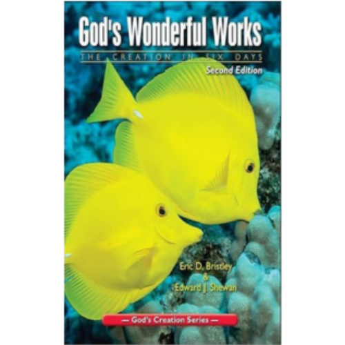 God's Wonderful Works (2nd Edition) - Grade 2 God's Wonderful Works (2nd Edition) - Grade 2