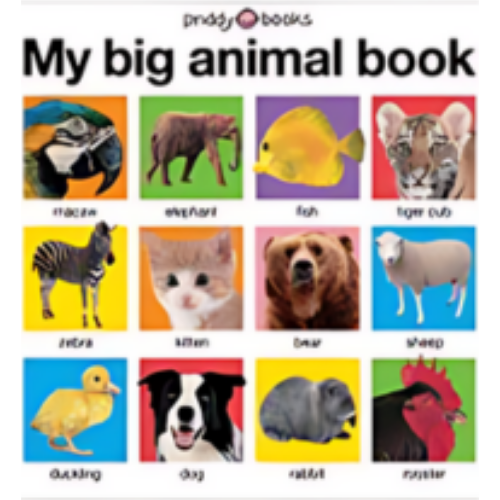 My Big Animal Book My Big Animal Book