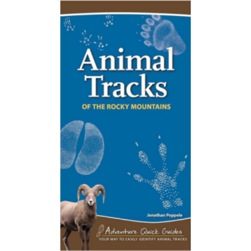 Animal Tracks of the Rocky Mountains