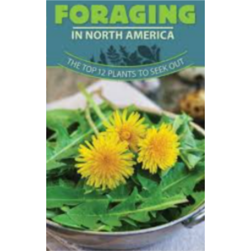 Foraging in North America Foraging in North America