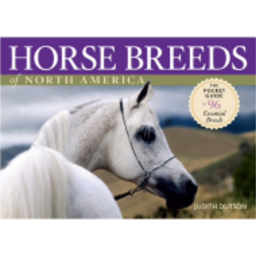 Horse Breeds of North America Horse Breeds of North America