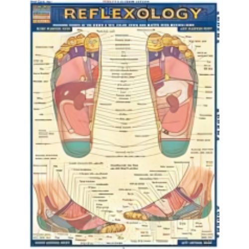 Chart - Reflexology