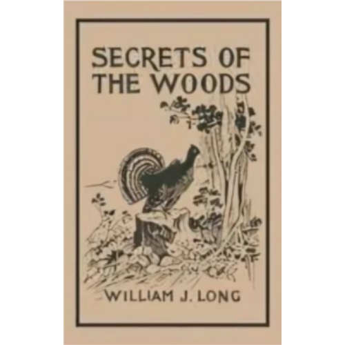 Secrets of the Woods Secrets of the Woods
