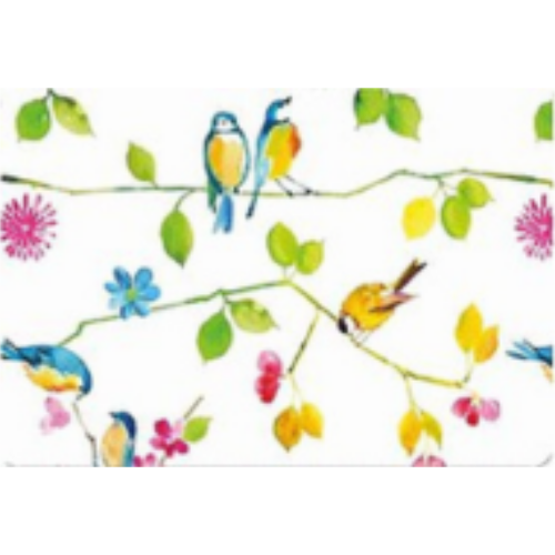 Watercolor Birds Note Cards