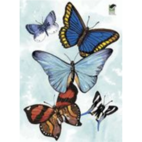 Butterfly Notebook (Dover Mini) Butterfly Notebook (Dover Mini)