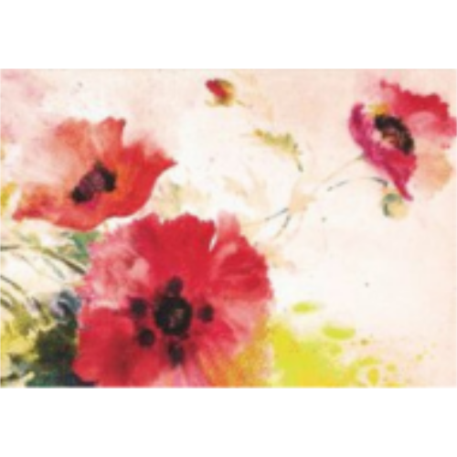 Watercolor Poppies Note Cards