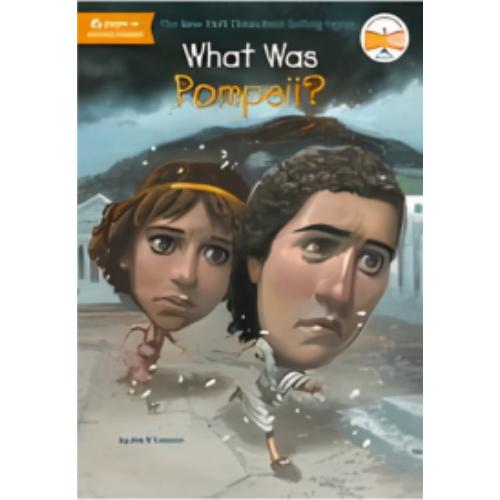 What Was Pompeii? What Was Pompeii?