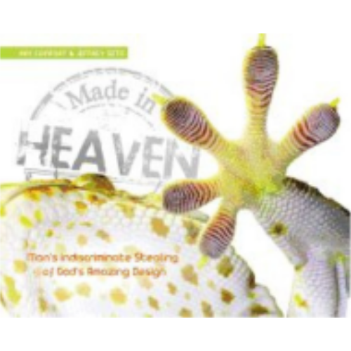 Made in Heaven Made in Heaven