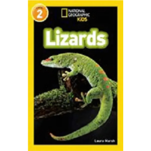 Lizards Lizards