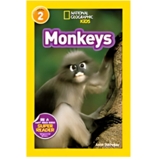 Monkeys Monkeys