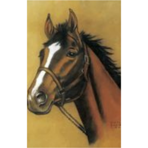 Horse Notebook Horse Notebook