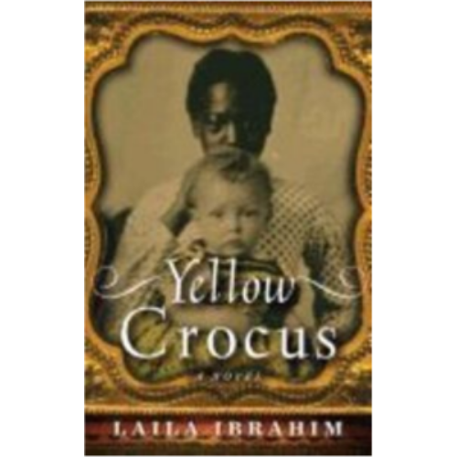 Yellow Crocus Yellow Crocus