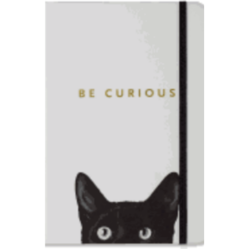 Curious Cat Journal Curious Cat Journal