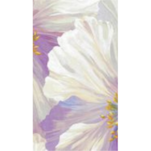 Poppies in Bloom Note Cards