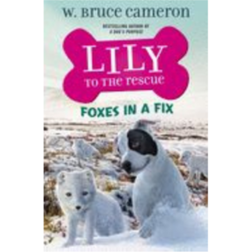 Lily to the Rescue: Foxes in a Fix (Lily to the Rescue! #7) Lily to the Rescue: Foxes in a Fix (Lily to the Rescue! #7)