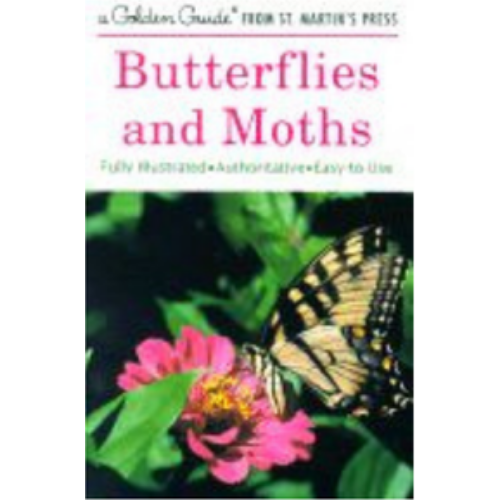 Butterflies and Moths: A Fully Illustrated, Authoritative and Easy-To-Use Guide (Updated) (Golden Guide from St. Martin's Press)
