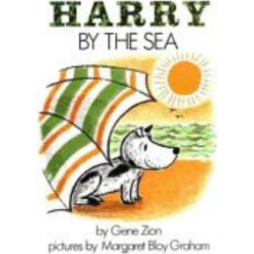 Harry by the Sea Harry by the Sea