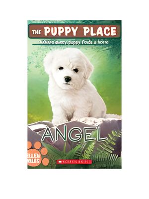 Angel (the Puppy Place #46)