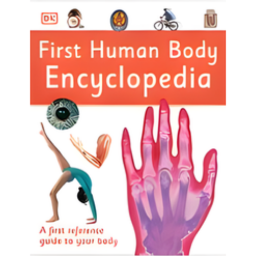 First Human Body Encyclopedia First Human Body Encyclopedia