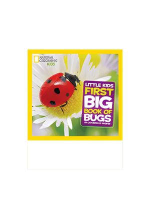 Little Kids First Big Book of Bugs