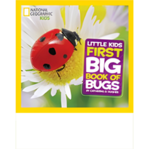 Little Kids First Big Book of Bugs Little Kids First Big Book of Bugs
