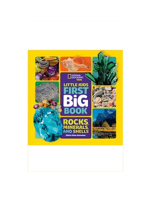 Little Kids First Big Book of Rocks, Minerals & Shells