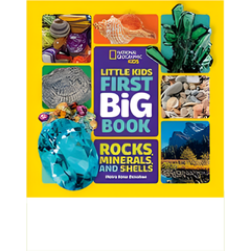 Little Kids First Big Book of Rocks, Minerals & Shells Little Kids First Big Book of Rocks, Minerals & Shells
